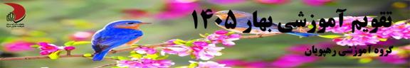 گروه آموزشی رهپویان